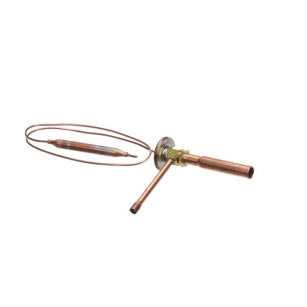 Expansion Valve